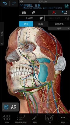 人体解剖学图谱最新正版下载图片1