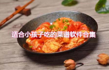 什么软件的儿童菜谱比较好-给小孩做饭的食谱软件-宝宝食谱下载什么软件好用