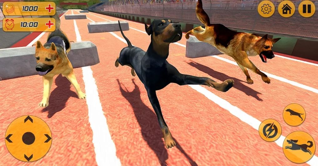 警犬跨栏冲刺游戏特色图片