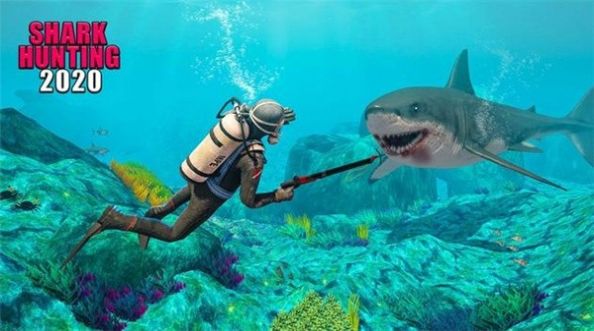 幸存者鲨鱼游戏特色图片