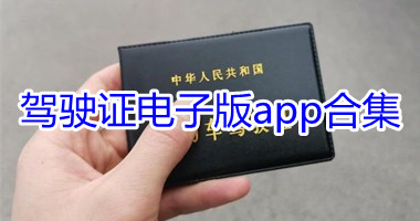 驾驶证电子版app合集