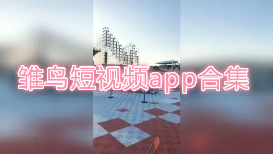 雏鸟短视频app合集