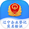 辽宁企业登记实名验证app官方版 v1.0