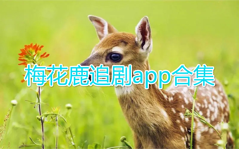 梅花鹿追剧app最新版-梅花鹿追剧app官方下载-梅花鹿追剧app免费版