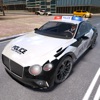 Police Real Chase Car 3D游戏