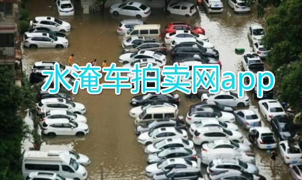 水淹车拍卖网app合集