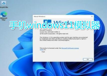 手机windows模拟器下载-手机windows11模拟器下载-手机windows10模拟器下载中文