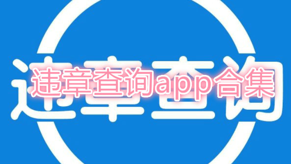 违章查询app合集