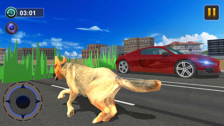 Dog Race游戏特色图片