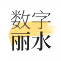 数字丽水app