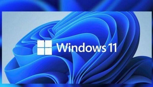 win11小组件打不开怎么办-win11小组件加载失败解决办法