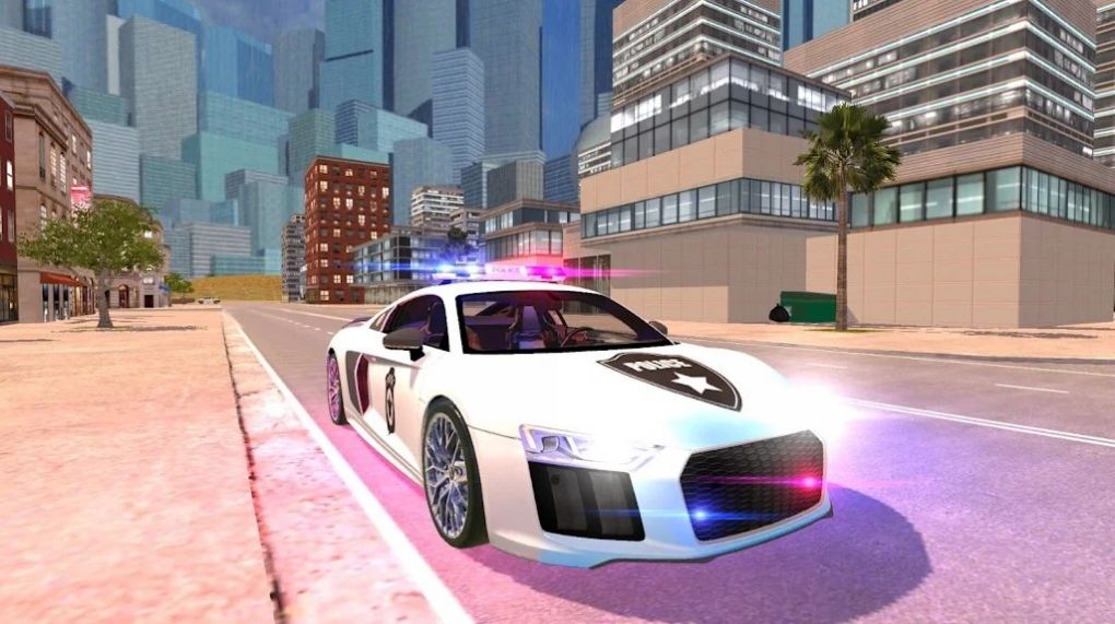 R8警察模拟器游戏安卓版下载图片1