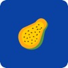 木瓜单词app