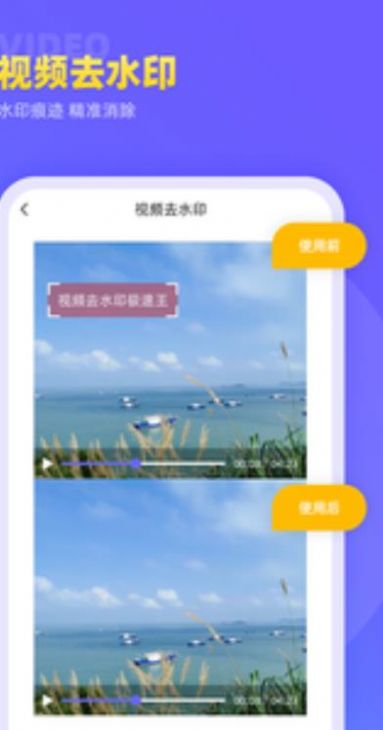视频去水印极速王app特点图片
