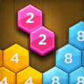 六角方块大挑战游戏安卓版 v1.0.0