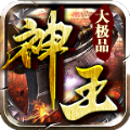 神王大极品手游官方版 v1.80