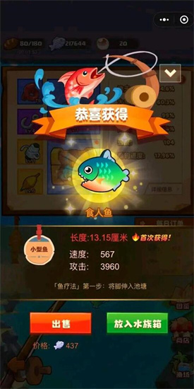 疯狂骑士团怪石滩涂钓鱼要注重些什么-怪石滩涂钓鱼攻略