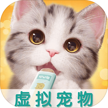 我和我的猫