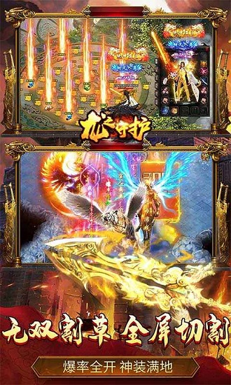 龙之守护