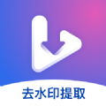 视频去水印提取软件免费版 v1.0