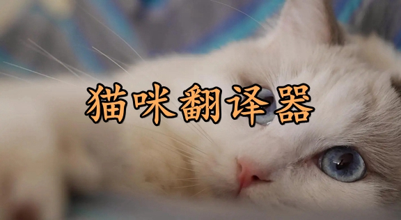 猫咪翻译器大全-猫咪翻译器推荐