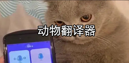 动物翻译器大全