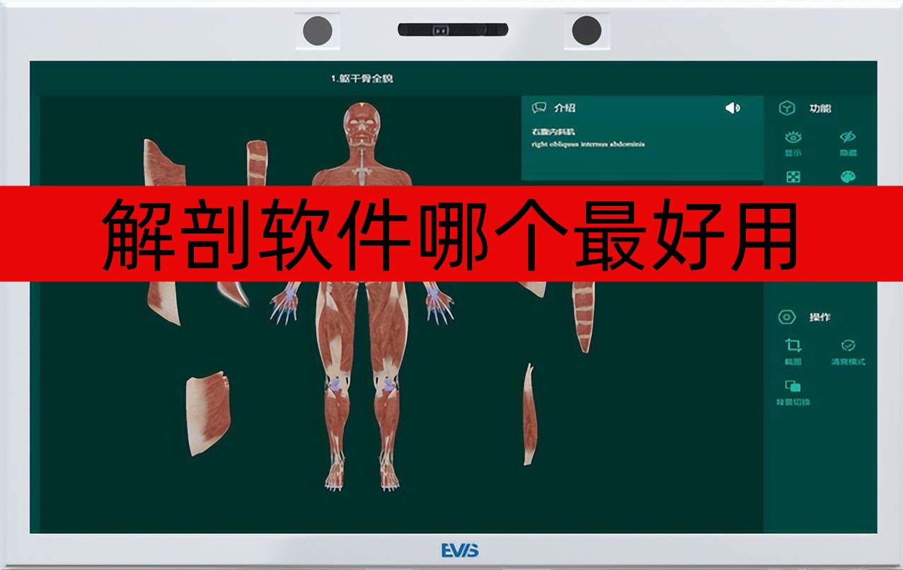 解剖软件哪个最好用