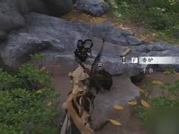 燕云十六声清河道人梦驴奇遇怎么做