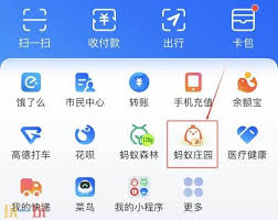 辣椒有哪些别称