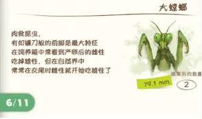 蜡笔小新煤炭镇的小白昆虫在哪