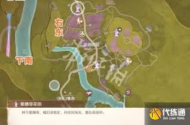 无限暖暖美美紫花海史丢丢位置在哪