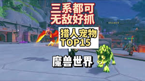 魔兽世界11.5猎人带什么宝宝好