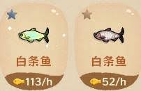 猫猫钓游记有哪些全鱼种图鉴