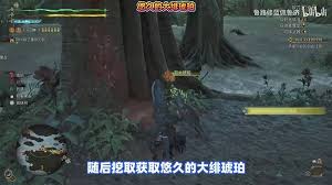 怪物猎人荒野10种稀有特产怎么获取