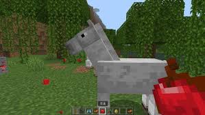 我的世界如何驯服马当坐骑