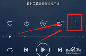 网易云音乐如何开启灯光闪烁功能