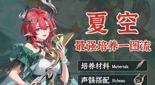 鸣潮夏空如何全方位培养