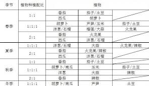 饥荒巨大作物如何搭配比例