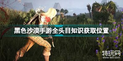 红色沙漠游戏销赃商人在哪