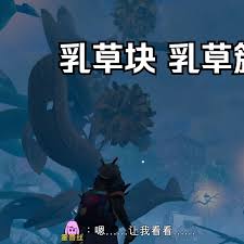 禁闭求生2乳草簇在哪获取