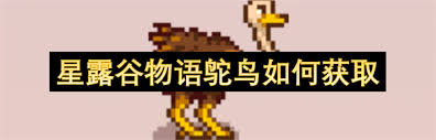 星露谷物语中鸵鸟怎么获取