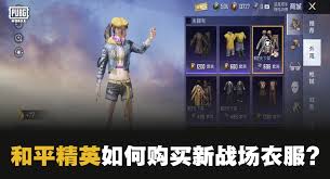 和平精英中时尚之选是什么
