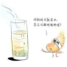 餐后喝茶真的能分解脂肪吗