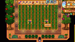 星露谷物语温室种植玩法是什么
