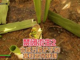 禁闭求生2怎么获取草籽