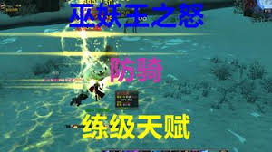 魔兽世界wlk防骑练级方法