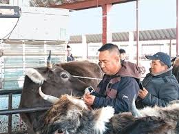 牲畜经纪人属于哪个职业的新增工种