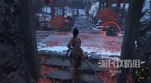 明末渊虚之羽怎么获得全竹笋道具