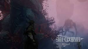 光与影33号远征队振奋击破怎么获取