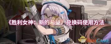 胜利女神新的希望兑换码输入位置在哪